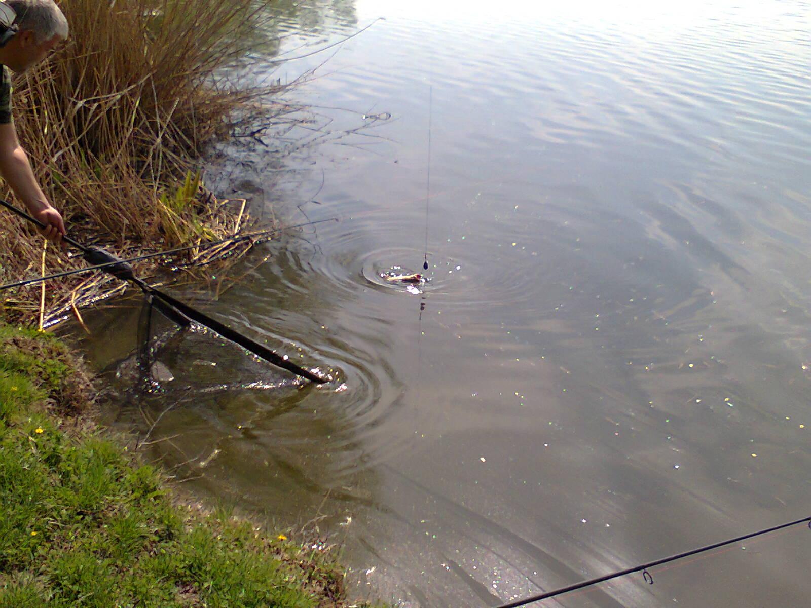 Tancabesti - fotografie0022.jpg